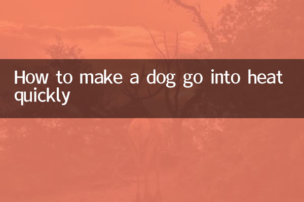 개를 더위에 빨리 빠지게 만드는 방법