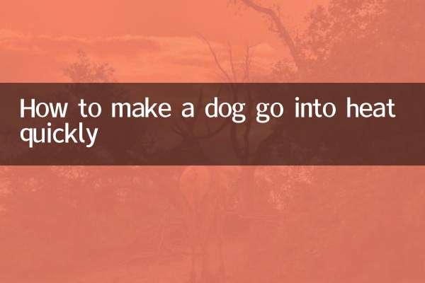 কিভাবে একটি কুকুর দ্রুত তাপে যেতে হবে