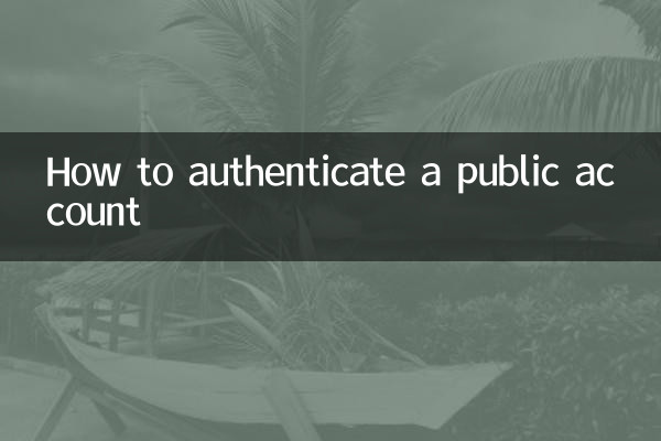 كيفية توثيق الحساب العام