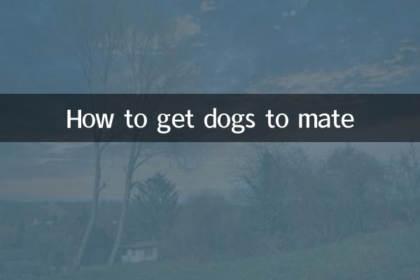 怎么让狗狗交配