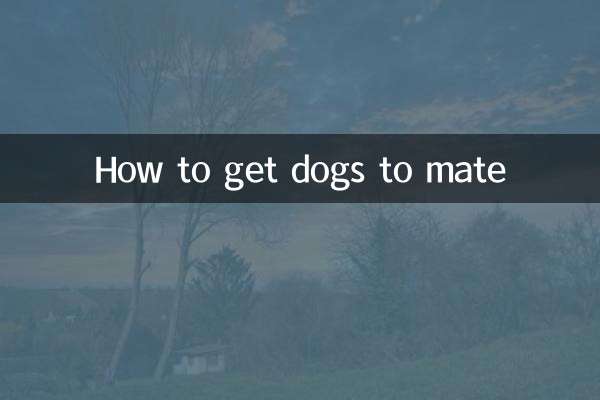 Come far accoppiare i cani