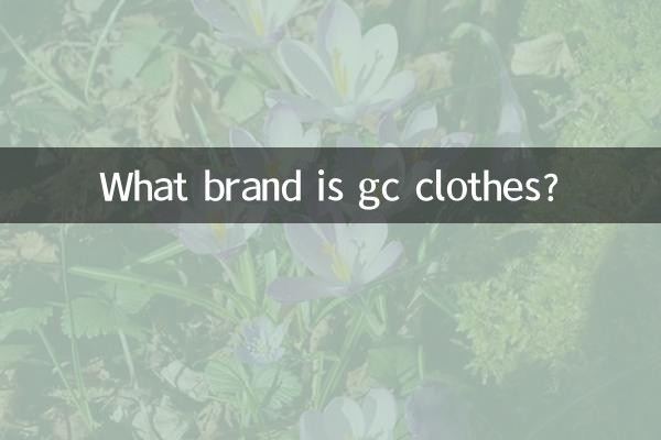 Какой марки одежда GC?