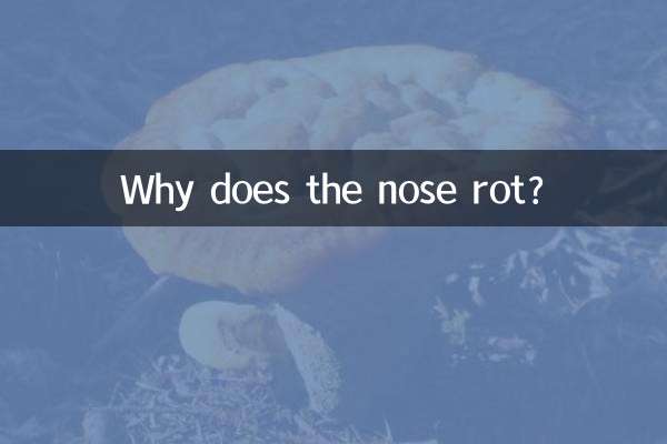नाक क्यों सड़ती है?