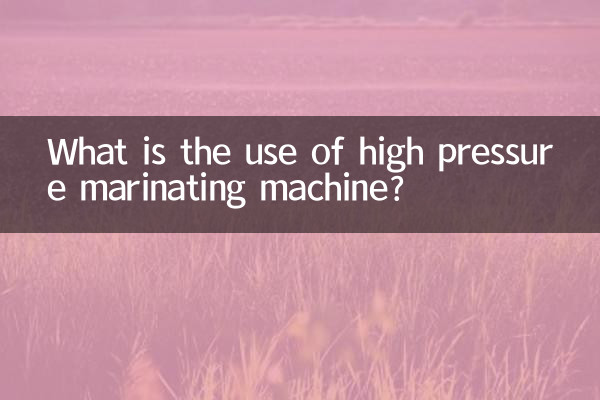 ما هو استخدام آلة التنقيع ذات الضغط العالي؟