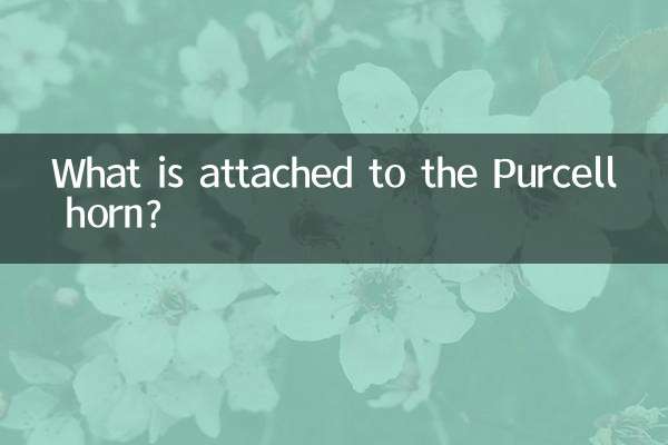 赛尔号木系连什么