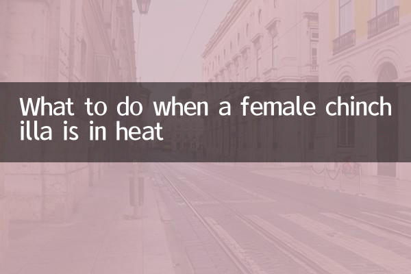 龍貓母的發情怎麼辦