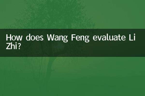 How does Wang Feng evaluate Li Zhi?