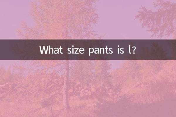 l কি সাইজ প্যান্ট?