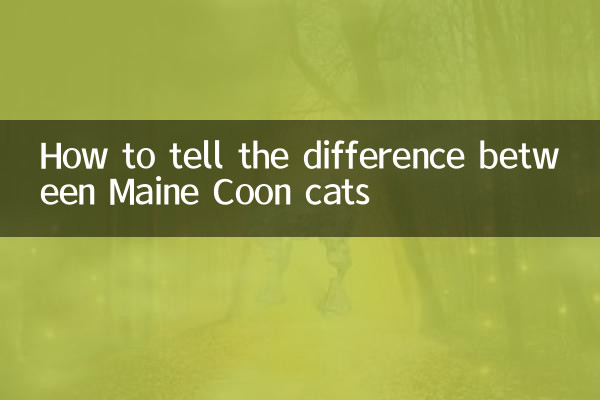 How to tell the difference between Maine Coon cats