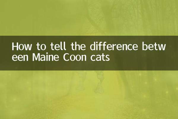 How to tell the difference between Maine Coon cats