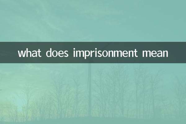 what does imprisonment mean