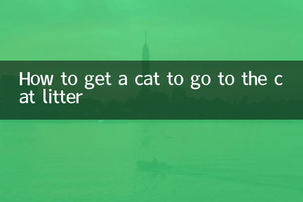 猫を猫トイレに行かせる方法