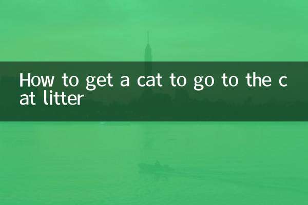 猫を猫トイレに行かせる方法