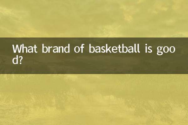 বাস্কেটবল কোন ব্র্যান্ড ভাল?