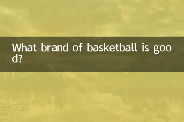 বাস্কেটবল কোন ব্র্যান্ড ভাল?