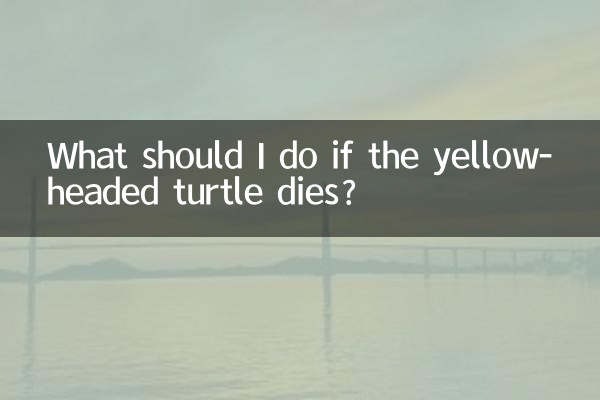 キイロガメが死んだらどうすればいいですか?