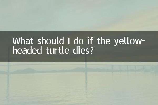হলুদ মাথার কচ্ছপ মারা গেলে আমার কী করা উচিত?