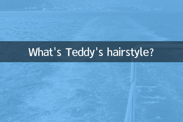 ٹیڈی کا بالوں کیا ہے؟