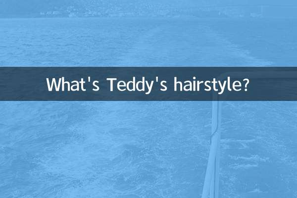 ٹیڈی کا بالوں کیا ہے؟