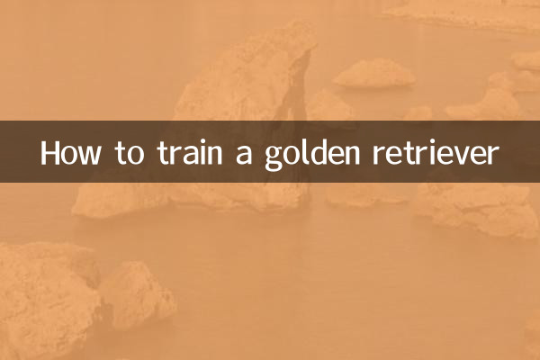 ゴールデンレトリバーのしつけ方