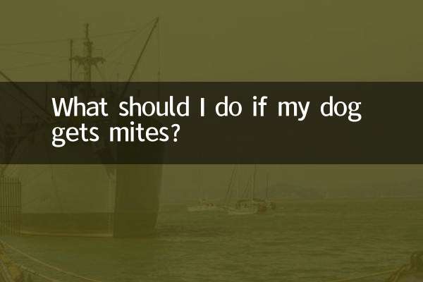 O que devo fazer se meu cachorro pegar ácaros?