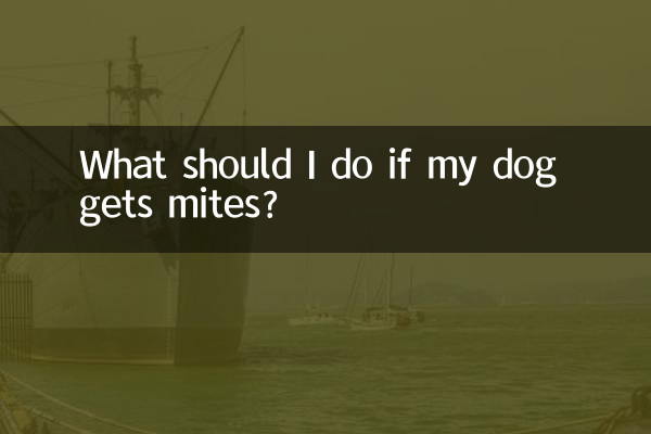 犬がダニに感染した場合はどうすればよいですか?