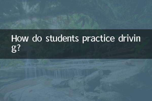 دانش آموزان چگونه رانندگی را تمرین می کنند؟