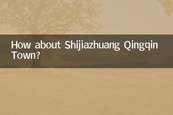 Che ne dici della città di Shijiazhuang Qingqin?