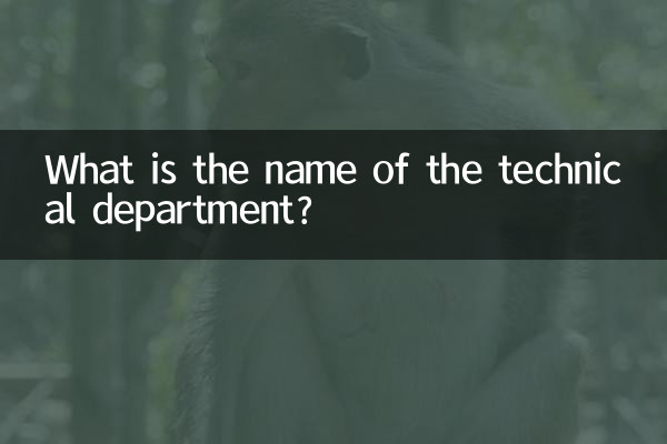 Qual é o nome do departamento técnico?