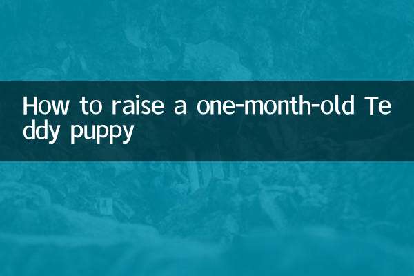 How to raise a one-month-old Teddy puppy