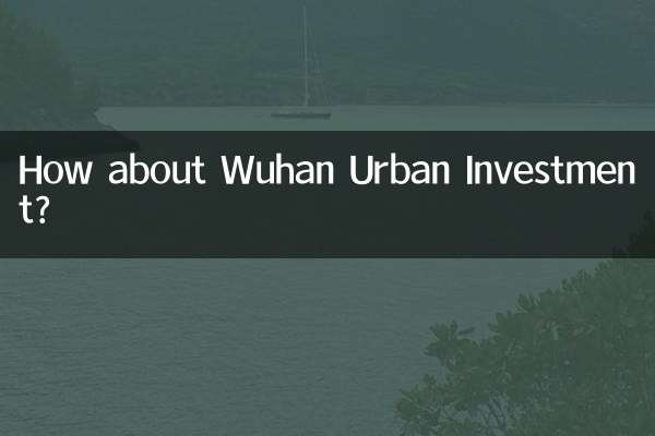 কিভাবে উহান শহুরে বিনিয়োগ সম্পর্কে?