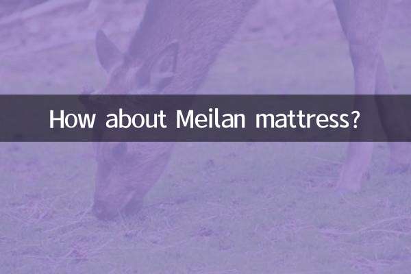 美兰床垫怎么样