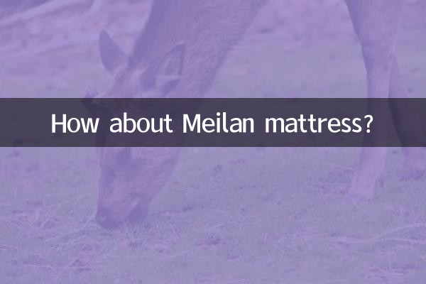 美兰床垫怎么样