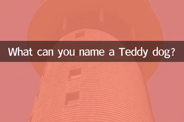 اسم یک سگ تدی را چه می توانید بکنید؟