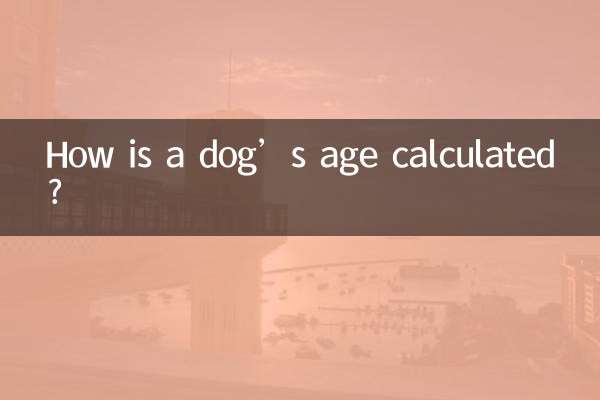 How is a dog’s age calculated?