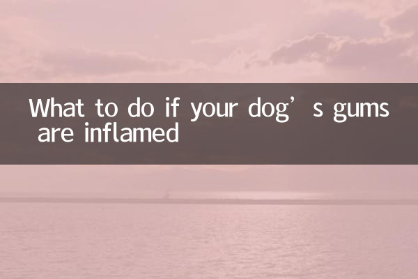 আপনার কুকুরের মাড়ি ফুলে গেলে কী করবেন