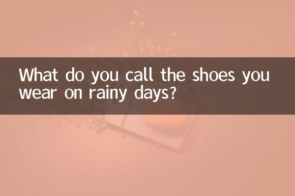 Comment appelle-t-on les chaussures que vous portez les jours de pluie ?