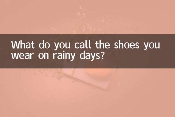 Comment appelle-t-on les chaussures que vous portez les jours de pluie ?