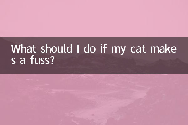 Was soll ich tun, wenn meine Katze viel Aufhebens macht?