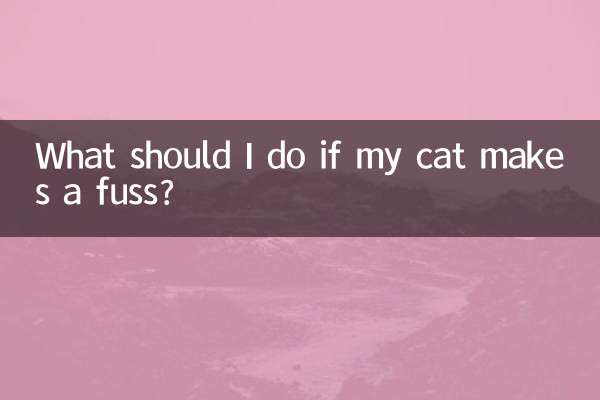 Что делать, если моя кошка капризничает?