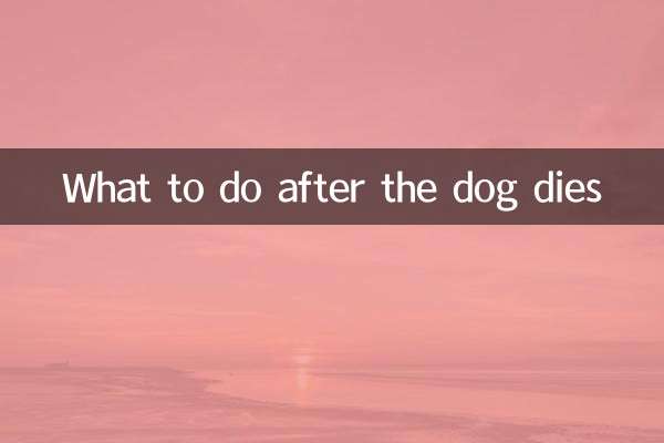 Was zu tun, nachdem der Hund gestorben ist
