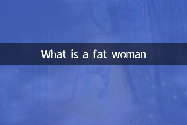 زن چاق چیست