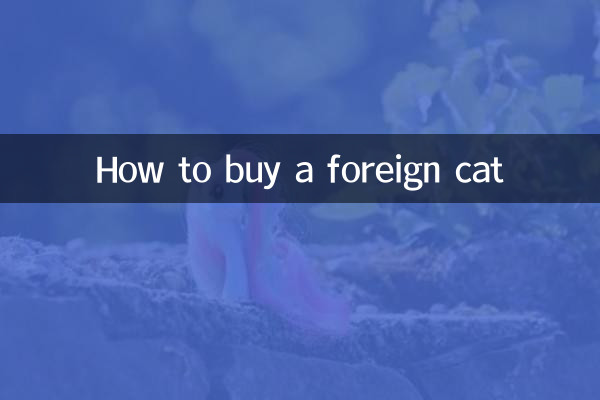 How to buy a foreign cat