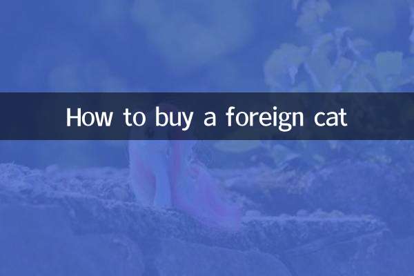How to buy a foreign cat
