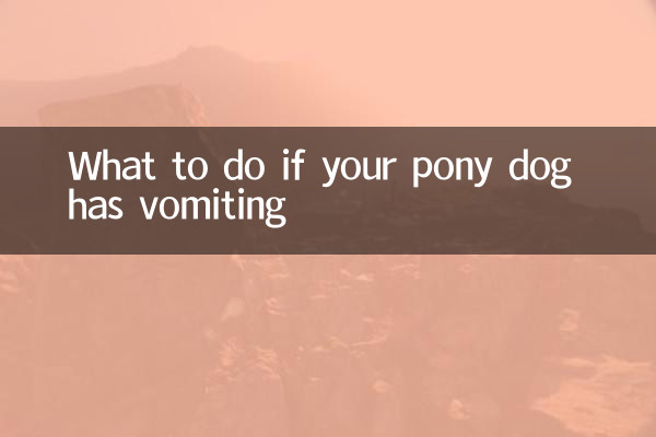 Qué hacer si tu perro pony tiene vómitos
