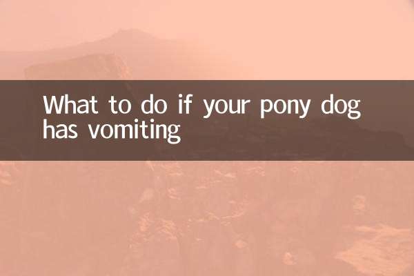 Qué hacer si tu perro pony tiene vómitos