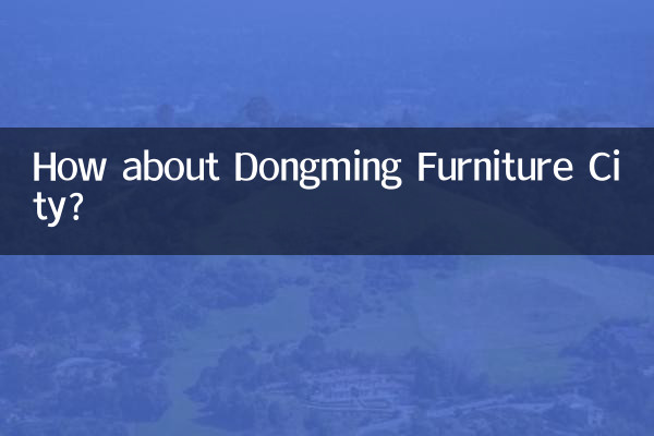 동밍 가구 시티(Dongming Furniture City)는 어떻습니까?
