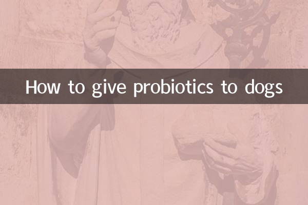 怎么给狗吃益生菌
