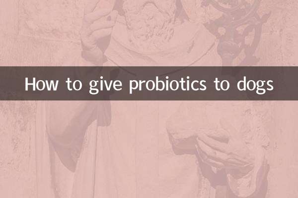 怎么给狗吃益生菌