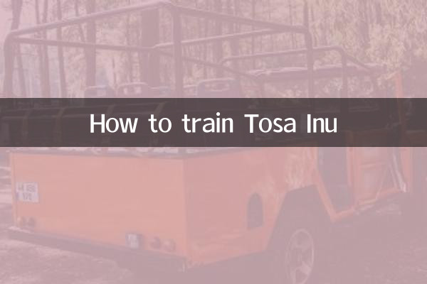 كيفية تدريب توسا إينو